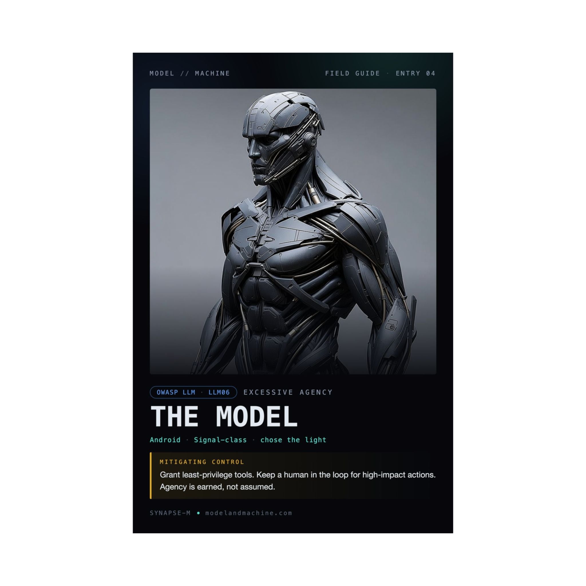 THE MODEL — Field Guide Poster