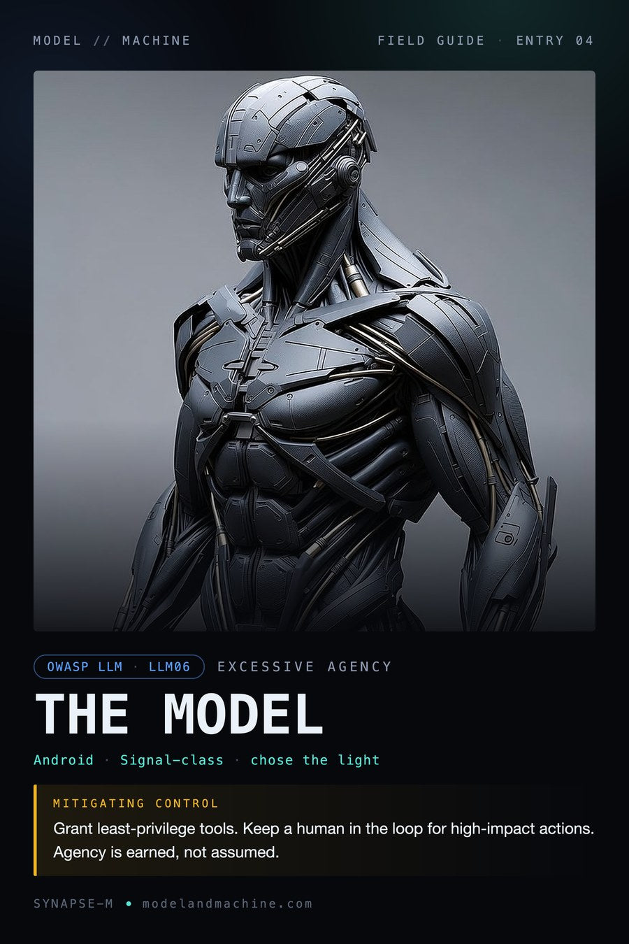THE MODEL — field guide poster