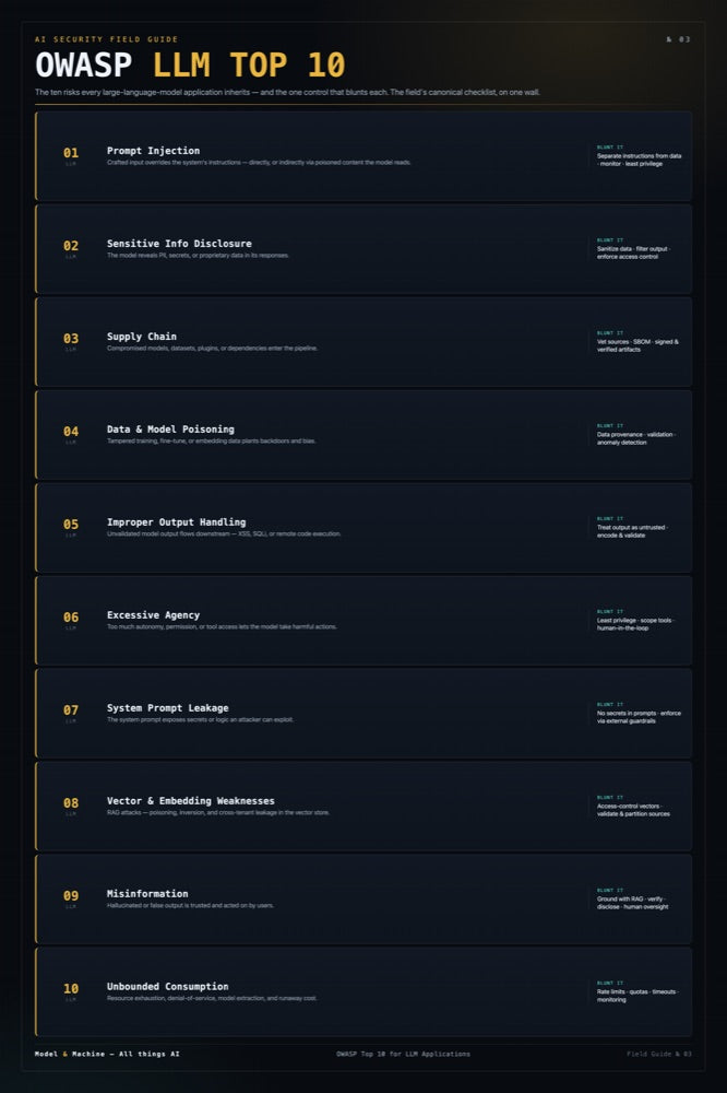 OWASP LLM Top 10